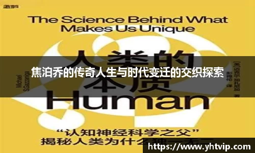 焦泊乔的传奇人生与时代变迁的交织探索